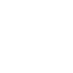 Dirty Cars - Discover the art of professional car care